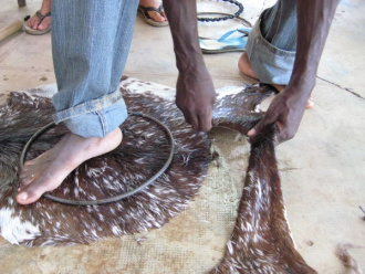 04 La Peau De Chevre Coupee A La Lame De Rasoir